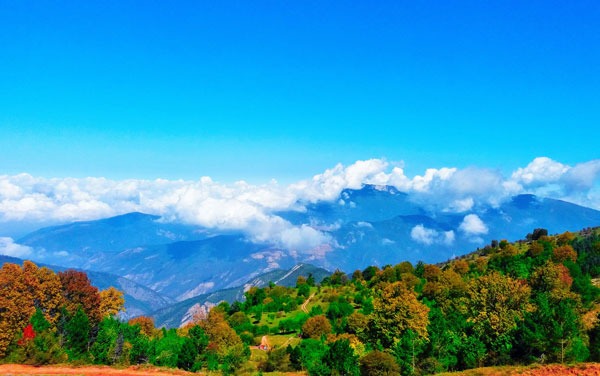 4. جنگل ابر - 4. Cloud Forest