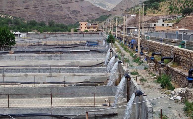 مجتمع شیلات پلنگان: مرکز پرورش و تولید ماهی در ایران - Pelegan Fisheries Complex