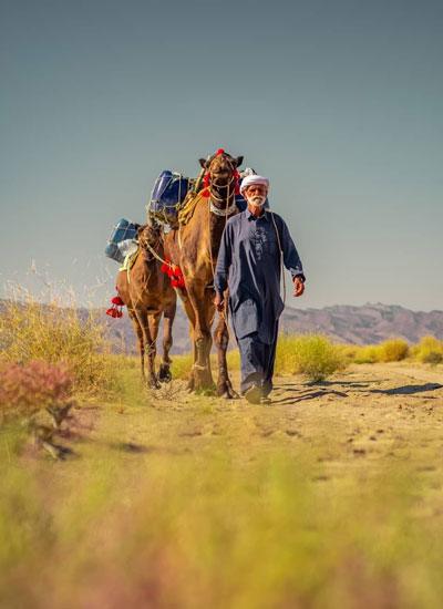 1. پناهگاه های امن برای مسافران - 1. Safe Havens for Travelers