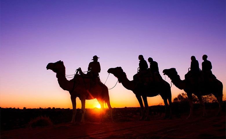 رانندگی با شتر - camel ride