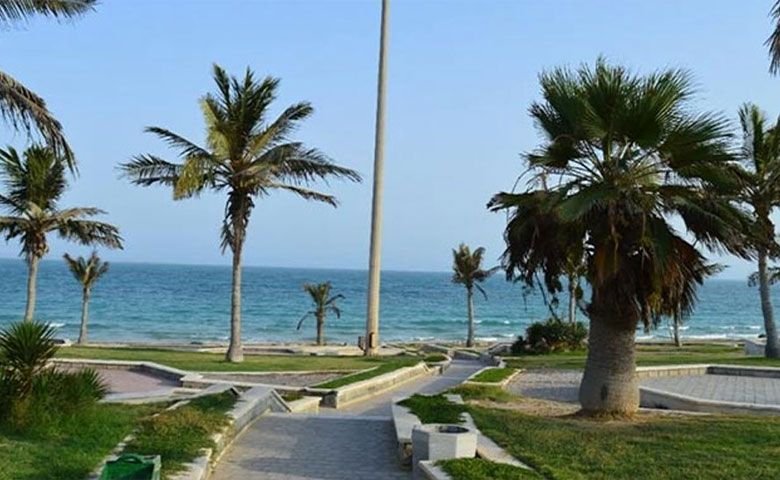 پارک زيتون: فضایی دلنشین برای استراحت و تفریح - Olive Park