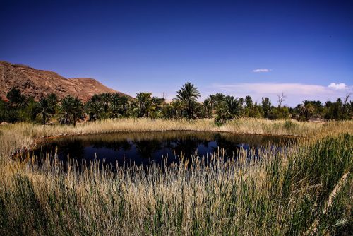 8. واحه گرمه: - 8. Garmeh Oasis: