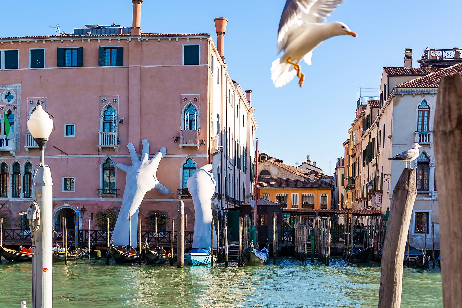 دوسالانه ونیز - Venice Biennale