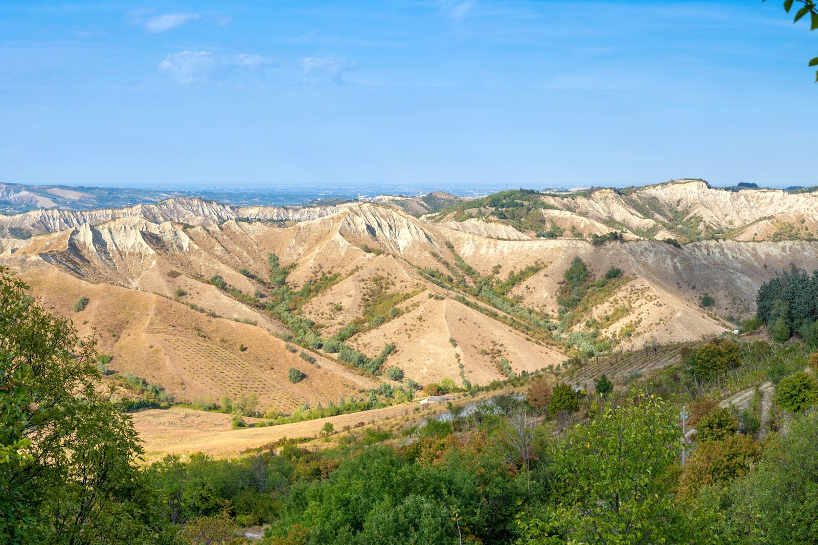 پارک منطقه ای Vena del Gesso Romagnola - Parco Regionale della Vena del Gesso Romagnola