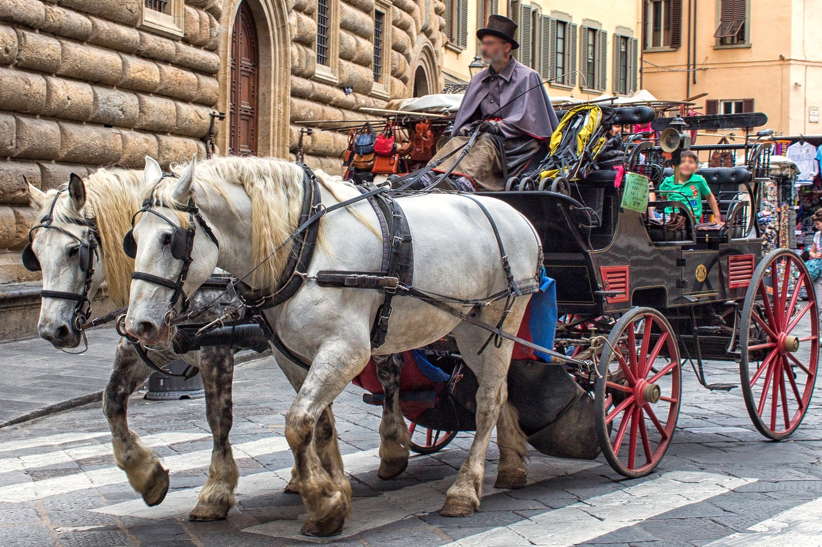 تور کالسکه اسب - Horse-drawn carriage tour