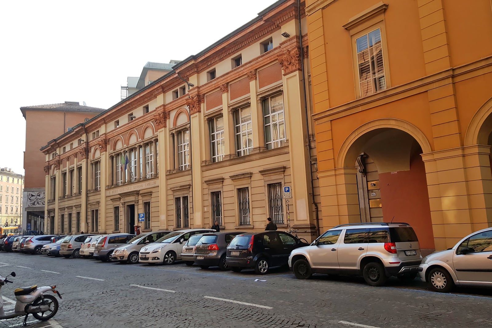 موزه زمین شناسی جیووانی کاپلینی - Museo Geologico Giovanni Capellini