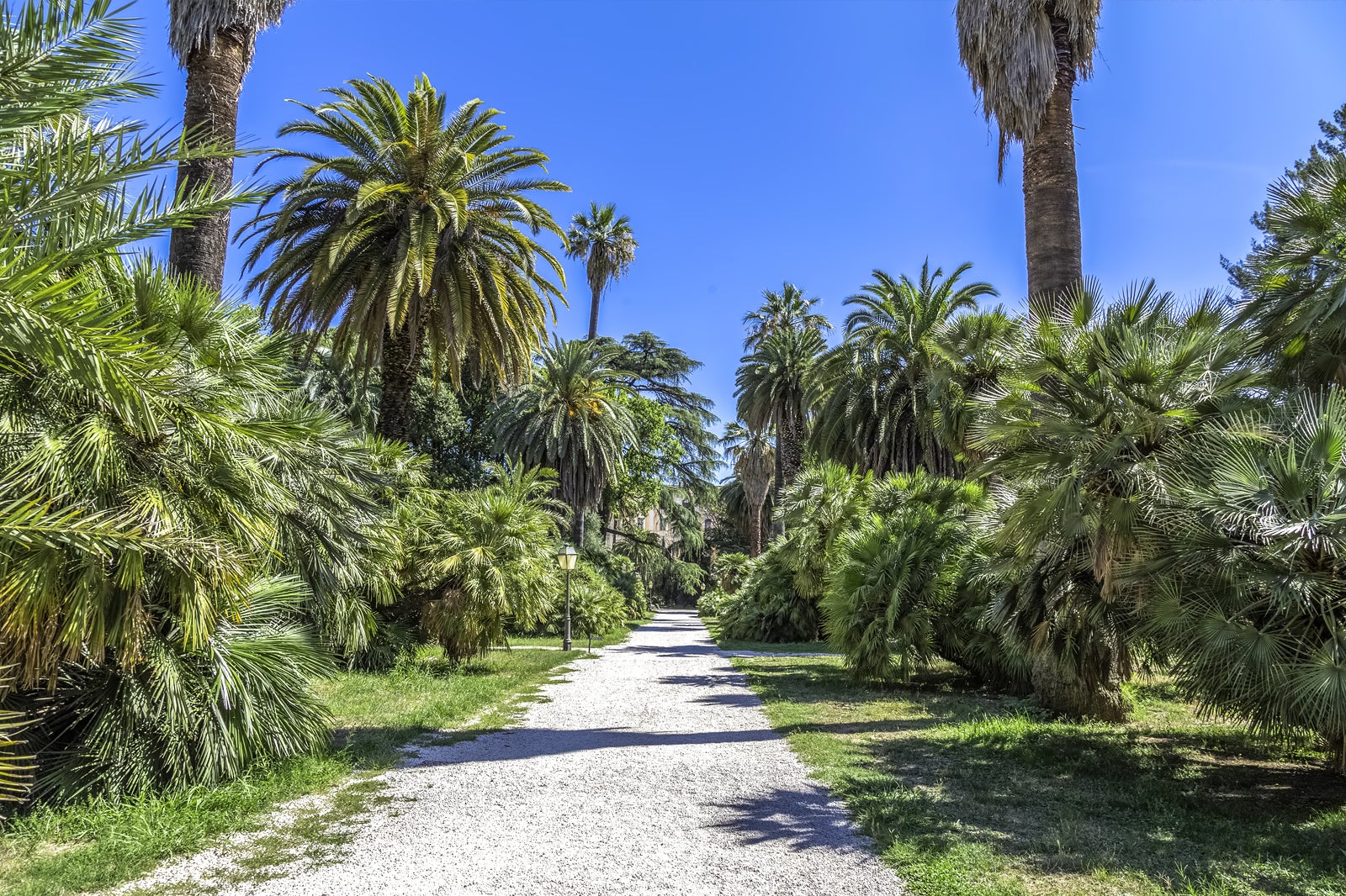 باغ گیاه شناسی رم - Botanical Gardens of Rome