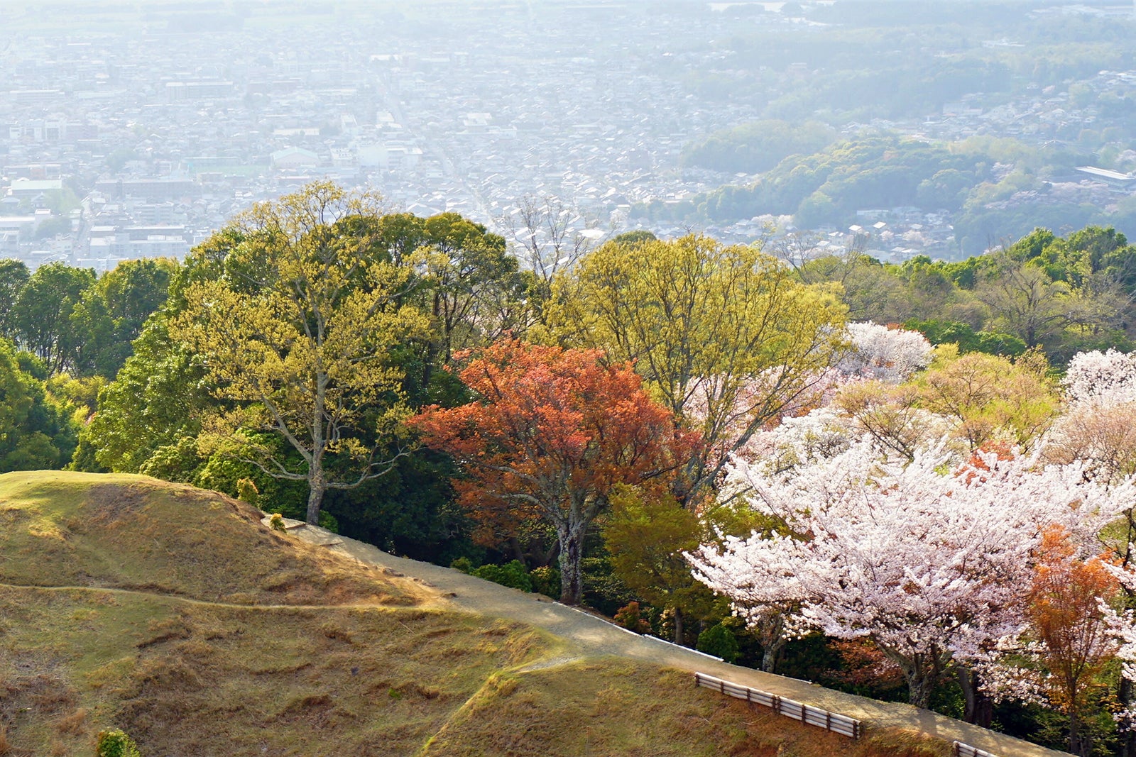 کوه واکاکوسا - Mount Wakakusa