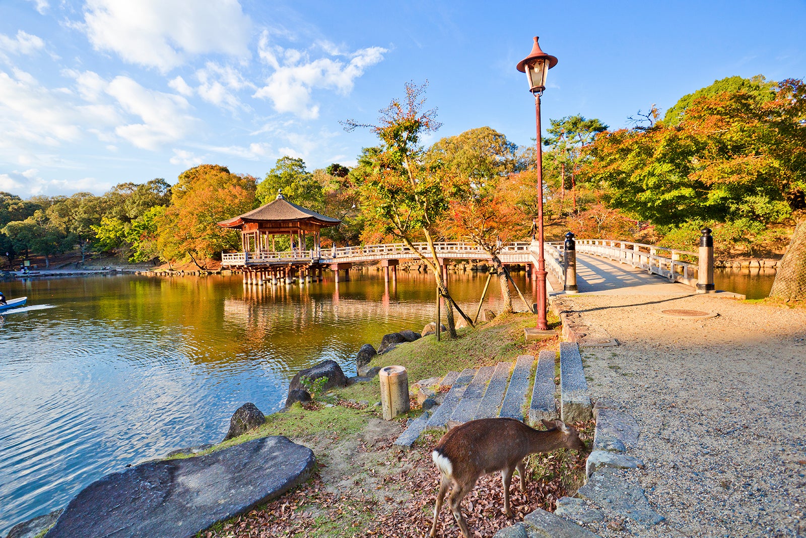 باغ یوشیکین - Yoshikien Garden