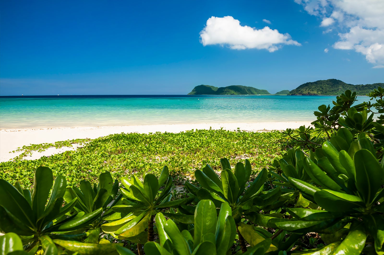 جزیره ایریوموت - Iriomote Island