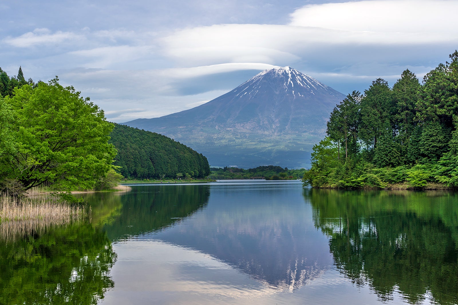 دریاچه تانوکی - Lake Tanuki