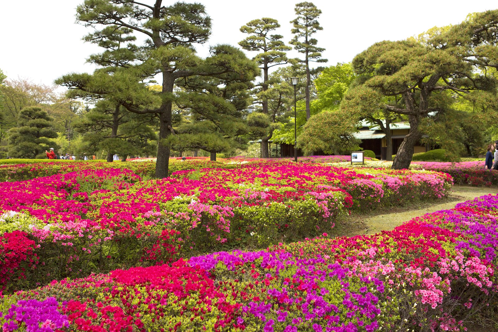 پارک شرقی کاخ امپراتوری - Eastern Park of the Imperial Palace