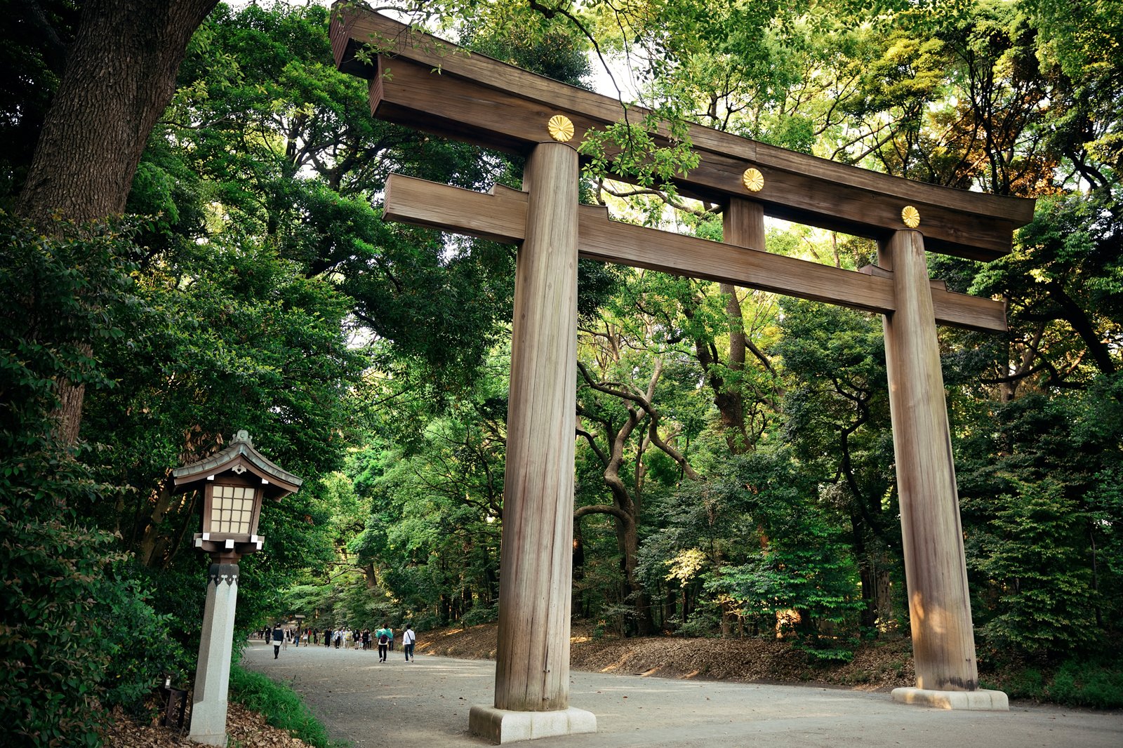 معبد میجی جینگو - Meiji Jingu Shrine