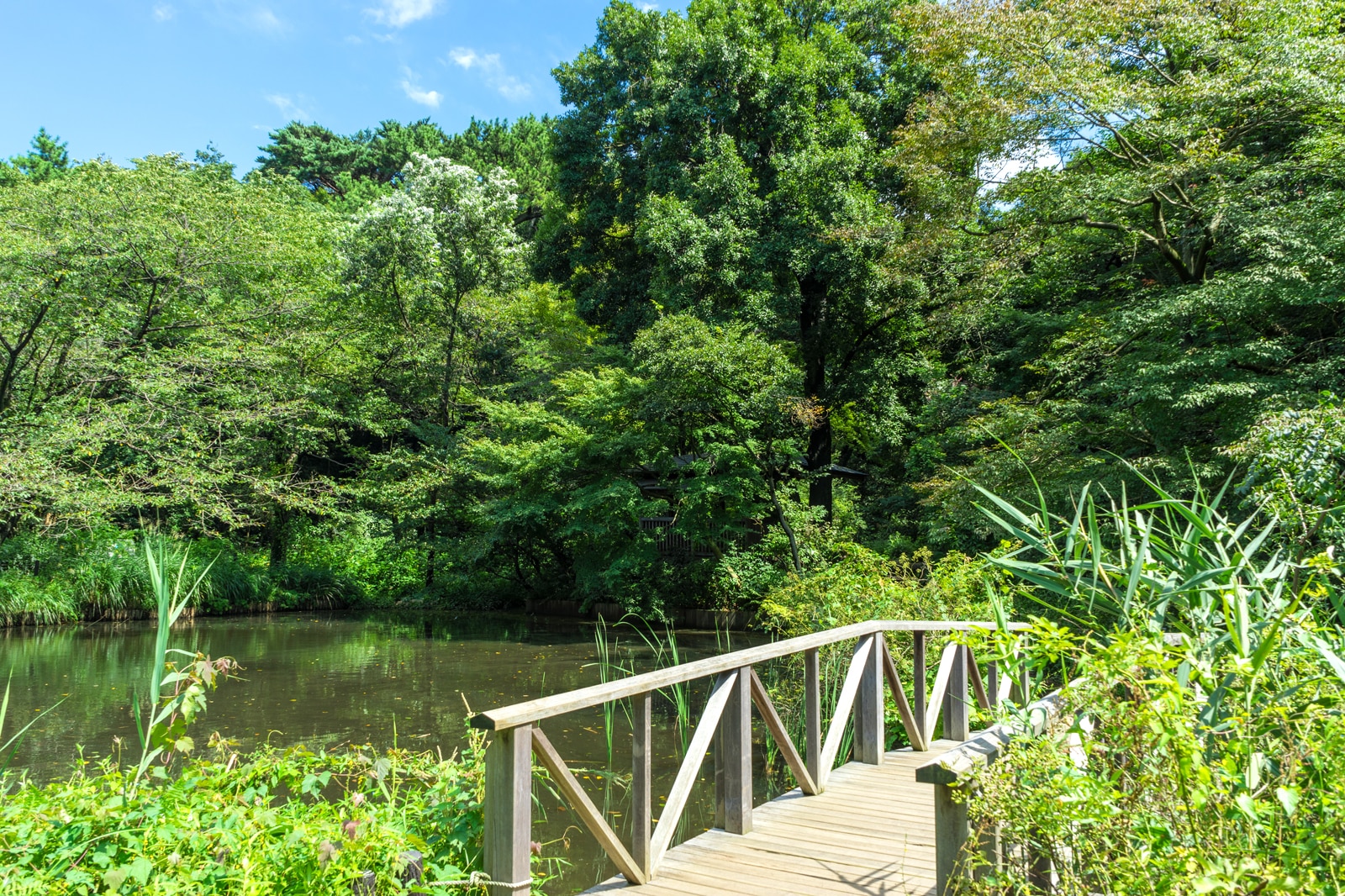 موسسه مطالعات طبیعت شیروکندایی - Shirokanedai Institute for Nature Study