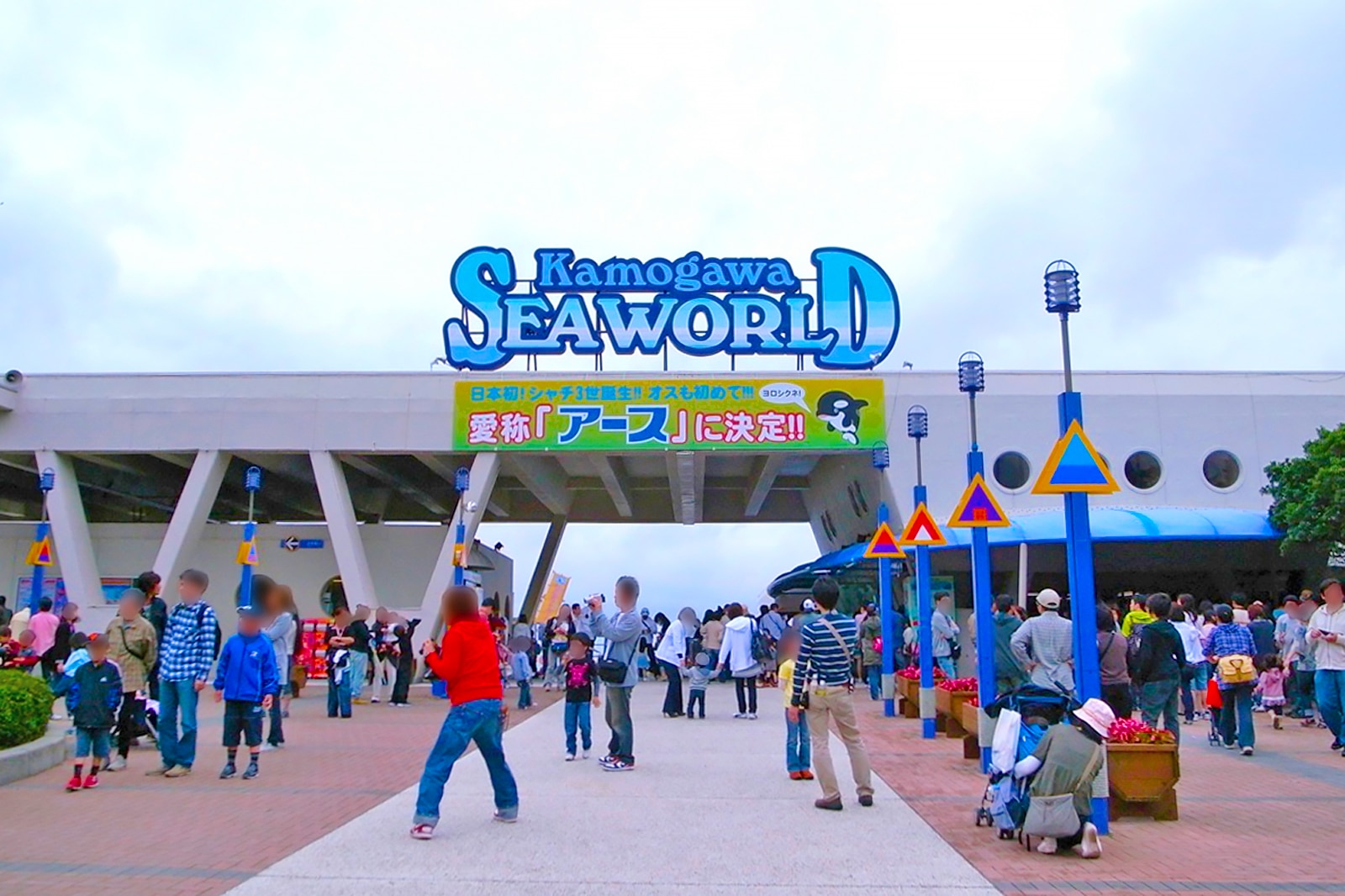 دنیای دریای کاموگاوا - Kamogawa Sea World