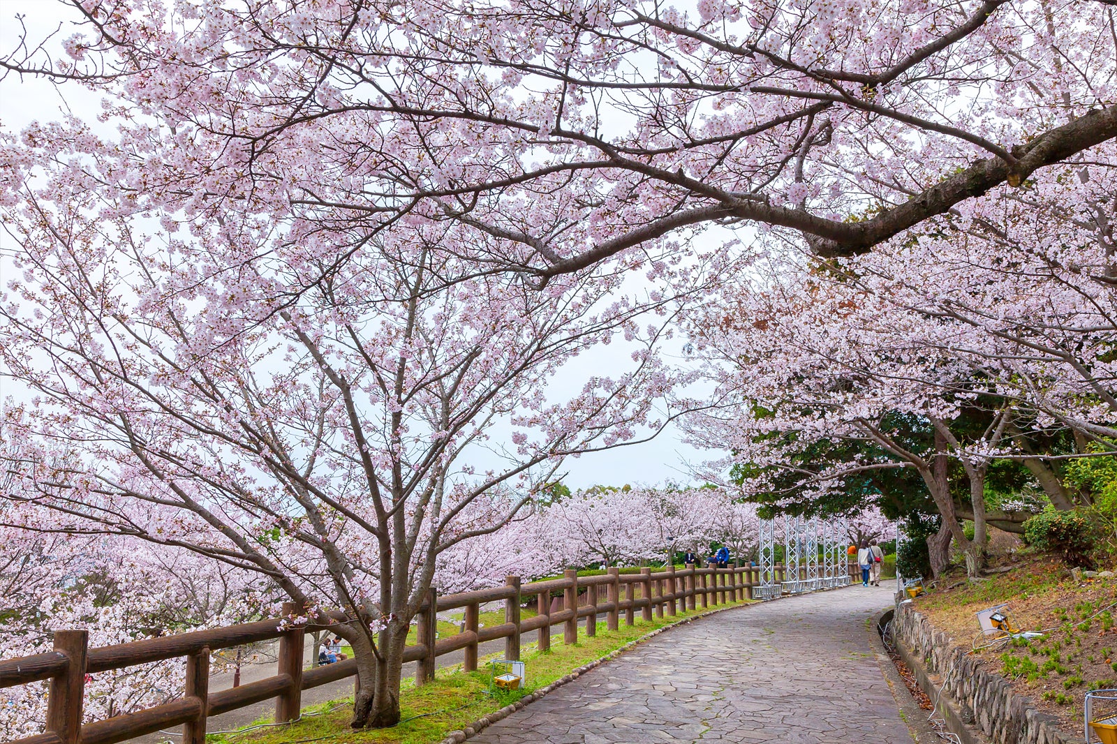 پارک سومارا - Sumaura Park