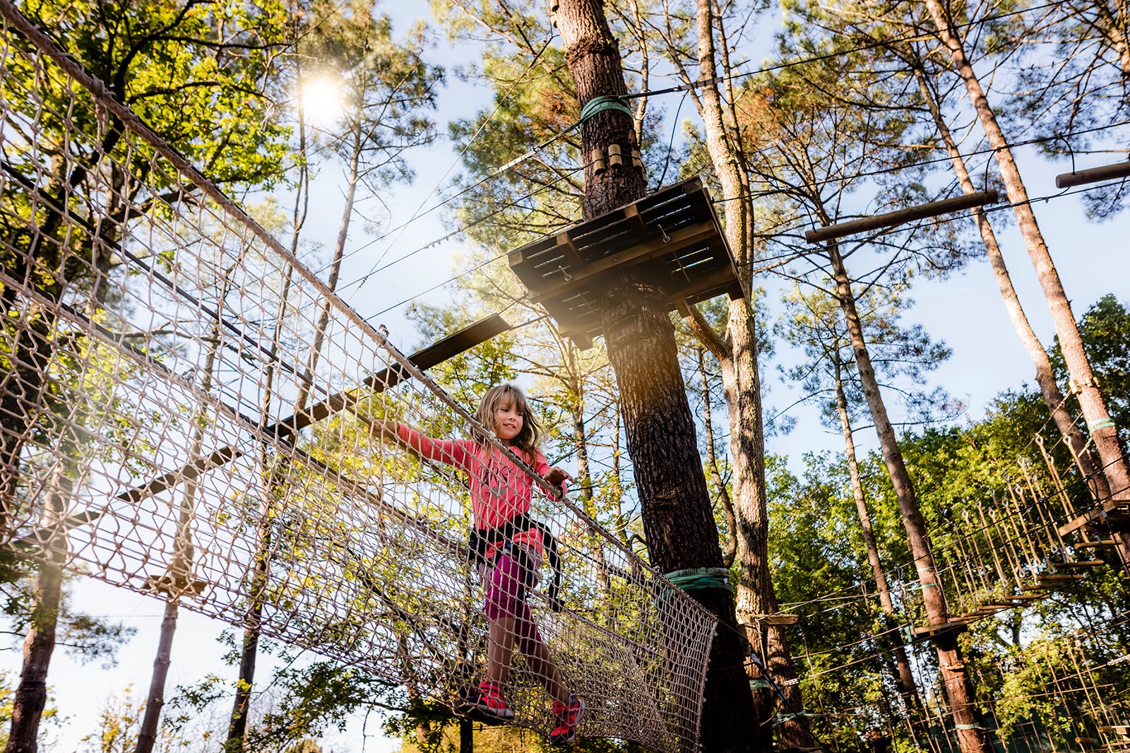 ماجراجویی جنگل هاکون - Hakone Forest Adventure