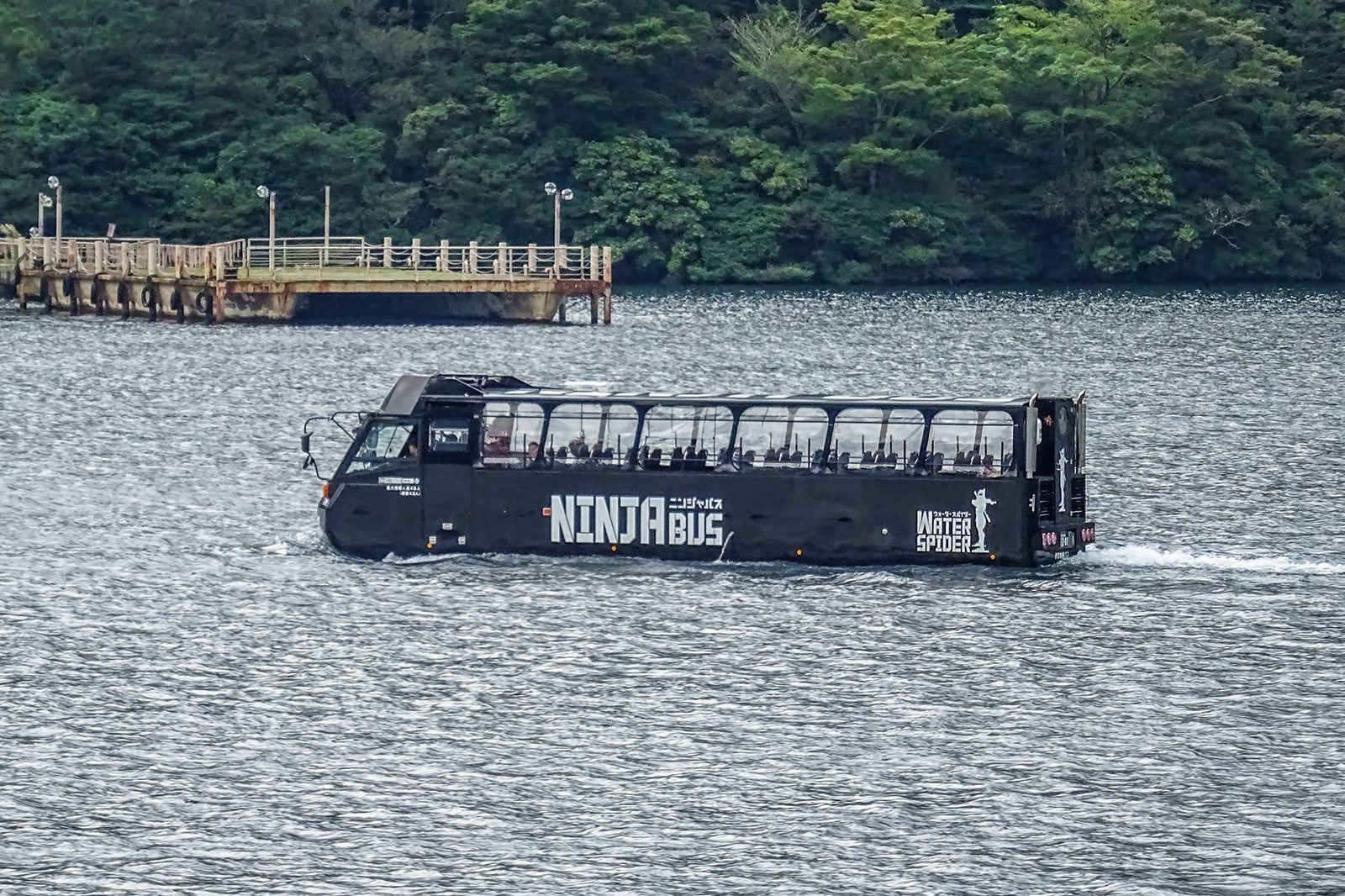 عنکبوت آبی نینابوس - NINJABUS WATER SPIDER