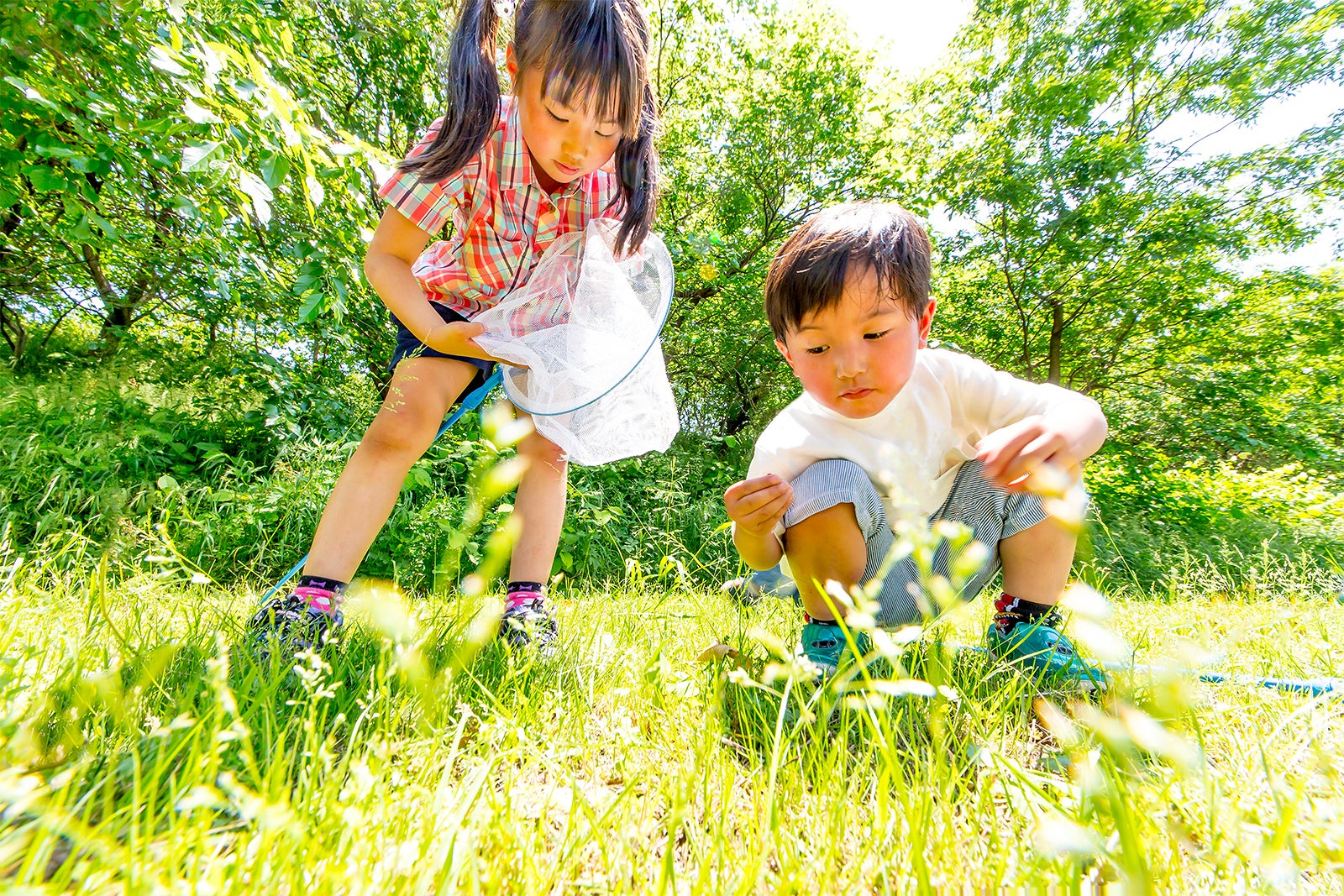 پارک Heisei Haibara Kodomo-no-Mori - Heisei Haibara Kodomo-no-Mori Park