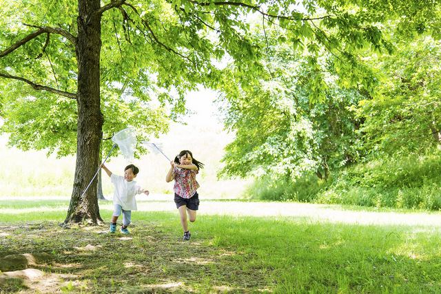 10 بهترین مکان در نارا برای سفرهای خانوادگی