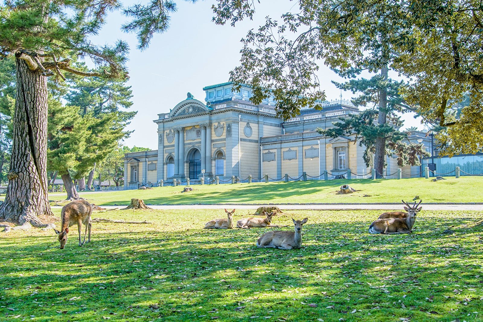 موزه ملی نارا - Nara National Museum