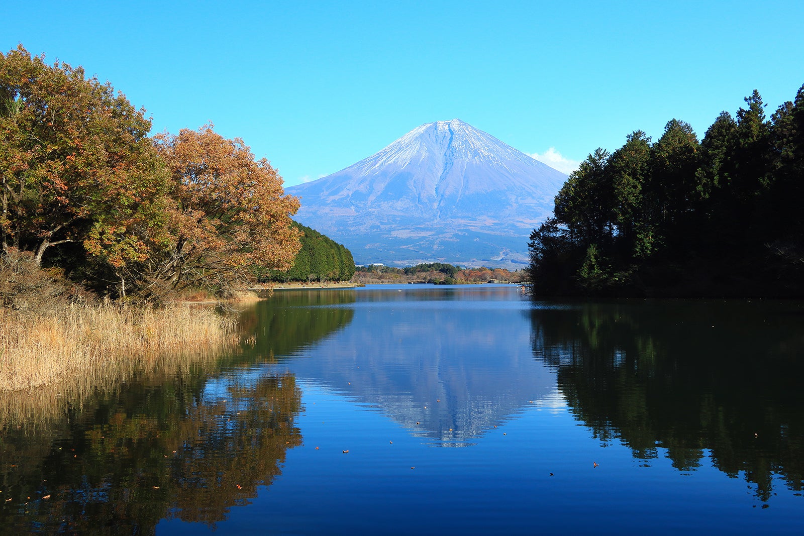 دریاچه تانوکی - Lake Tanuki