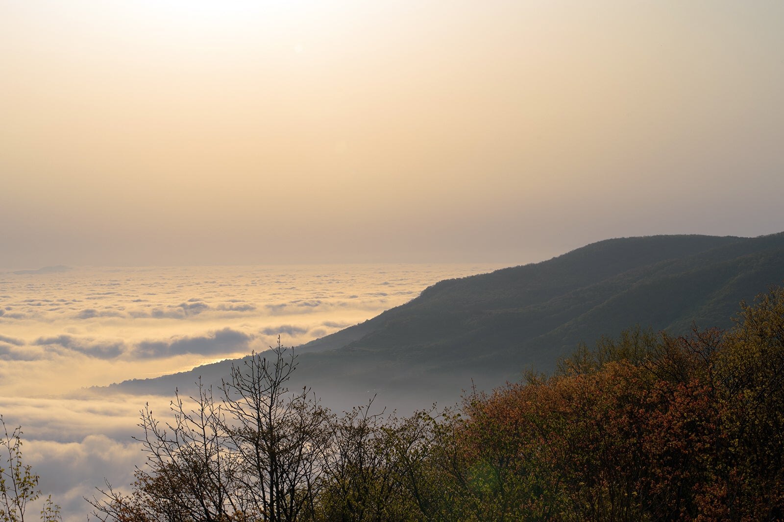 کوه کناشی - Mt. Kenashi