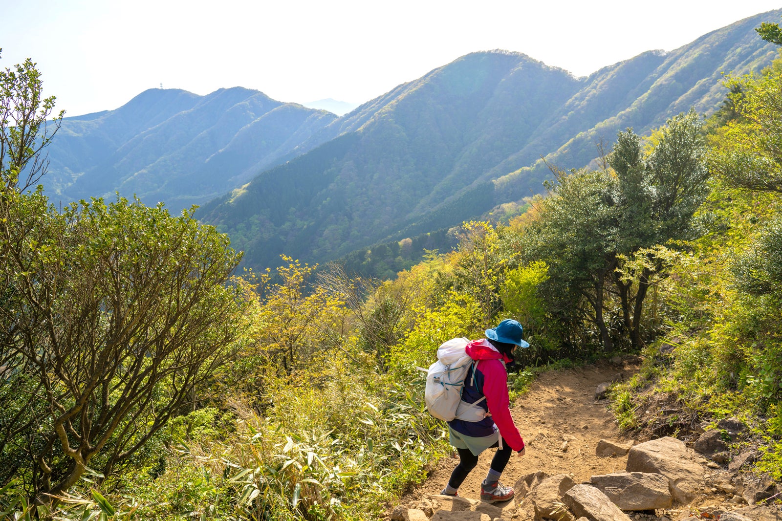 کوه آشیگارا - Mt. Ashigara