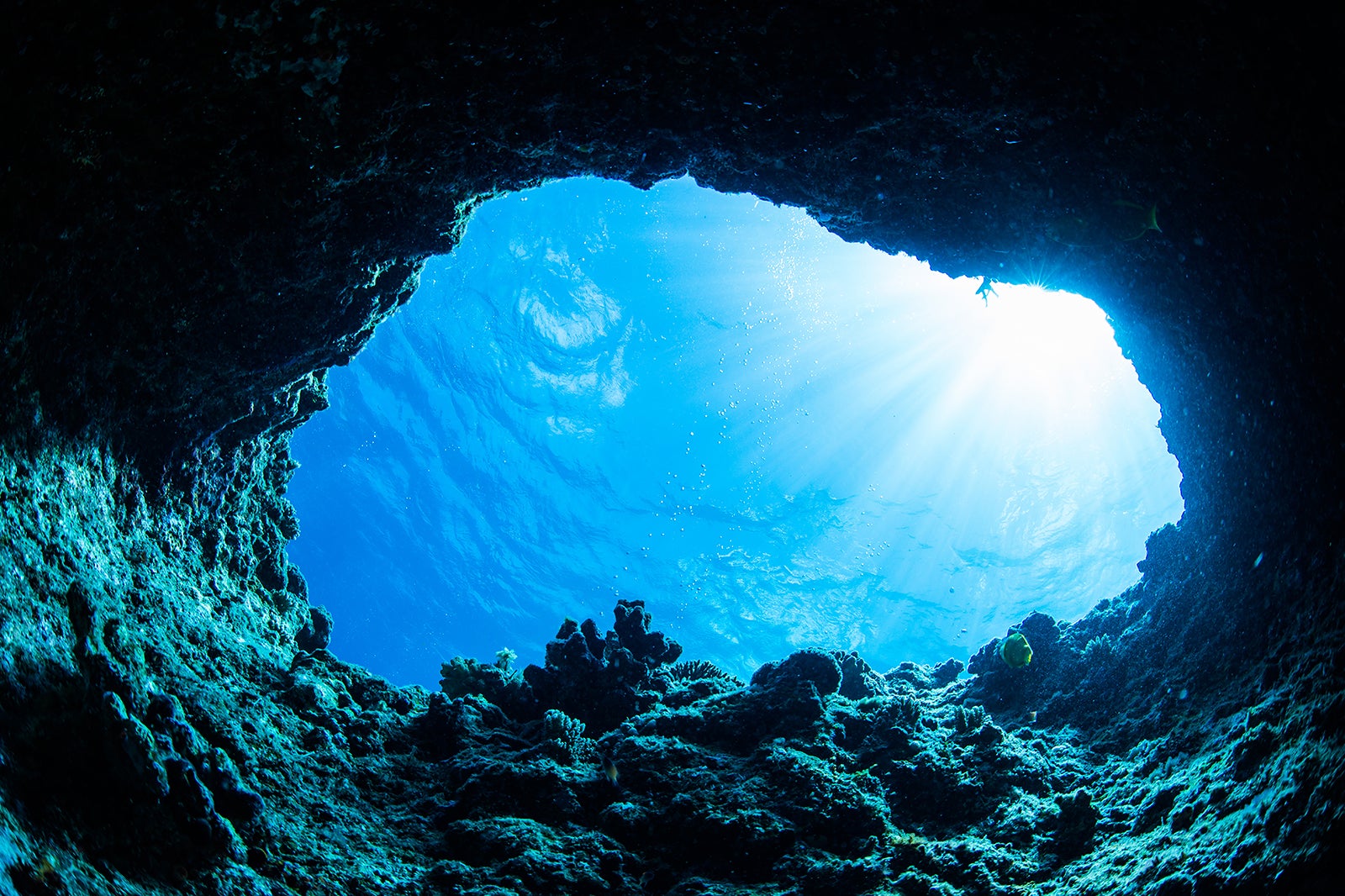 غواصی در غار آبی - Snorkelling in the Blue Cave