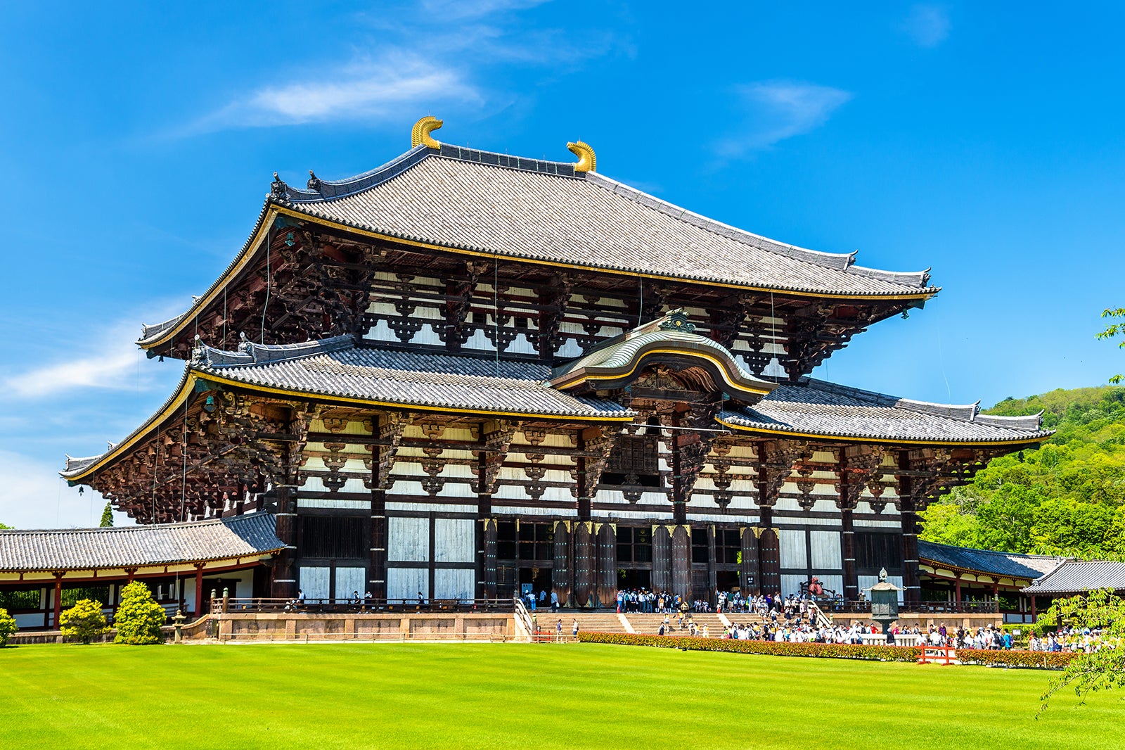 معبد تودایجی - Todaiji Temple