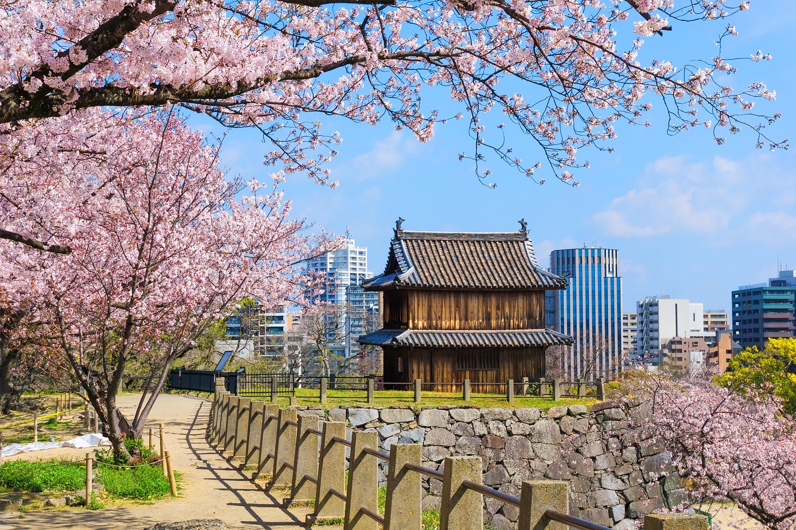 خرابه های قلعه فوکوکا و پارک مایزورو - Fukuoka Castle Ruins and Maizuru Park