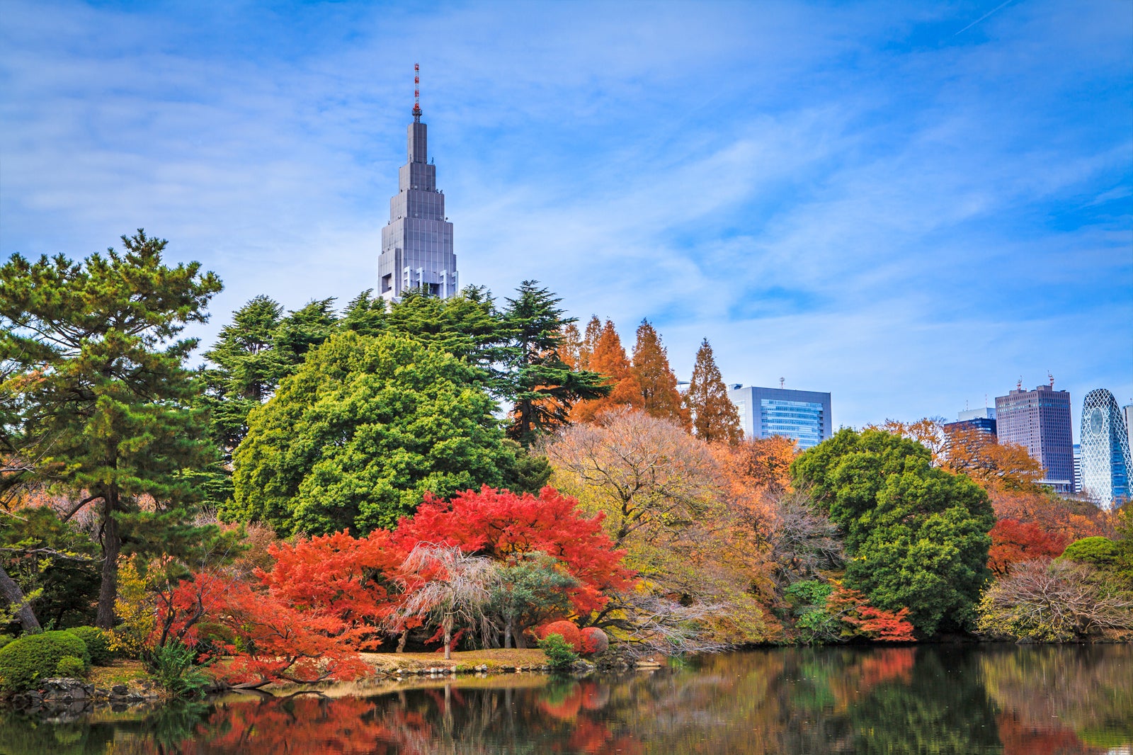 شینجوکو گیون - Shinjuku Gyoen