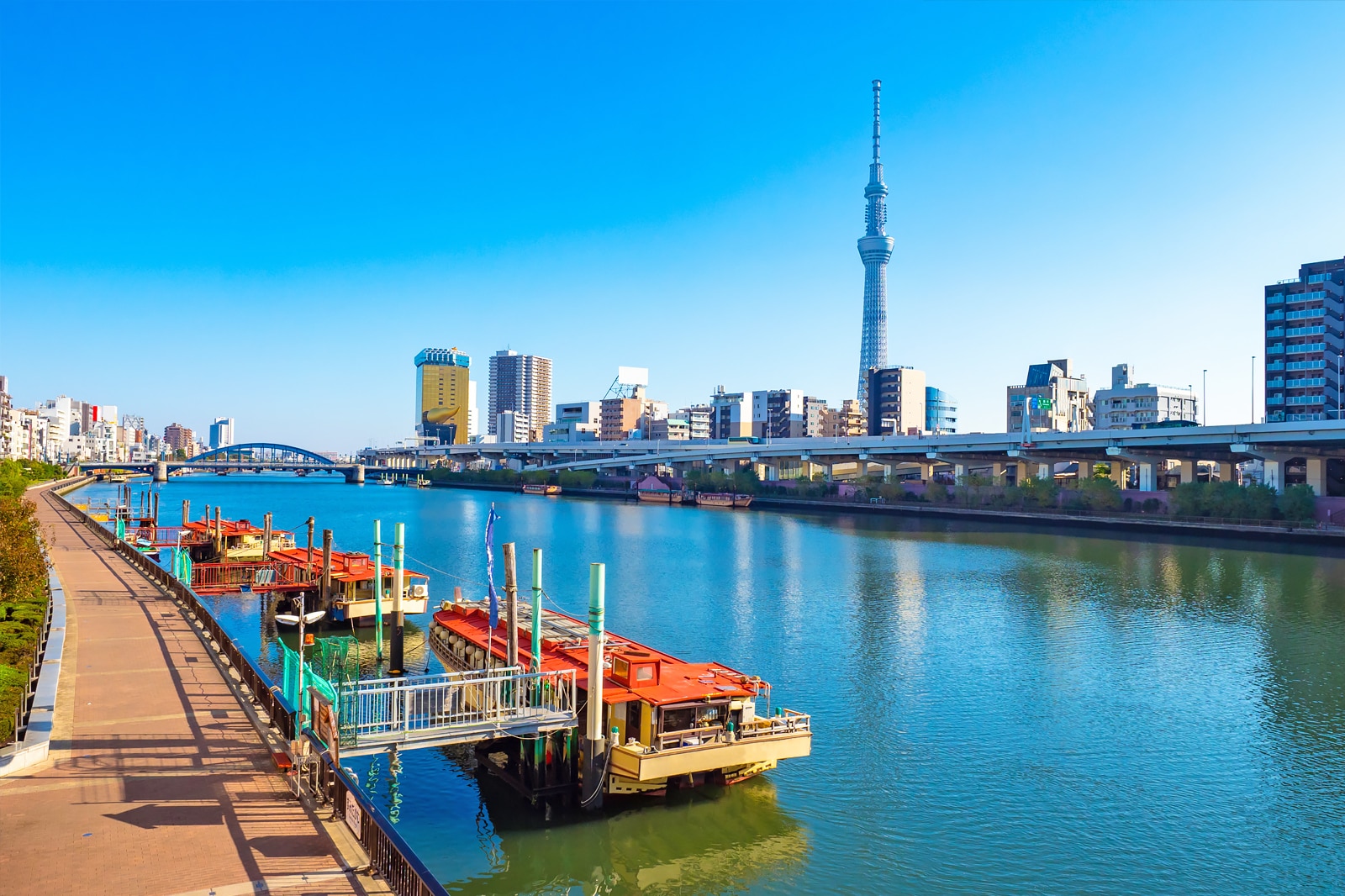 کروز خلیج توکیو / کروز رودخانه سومیدا - Tokyo Bay Cruise / Sumida River Cruise