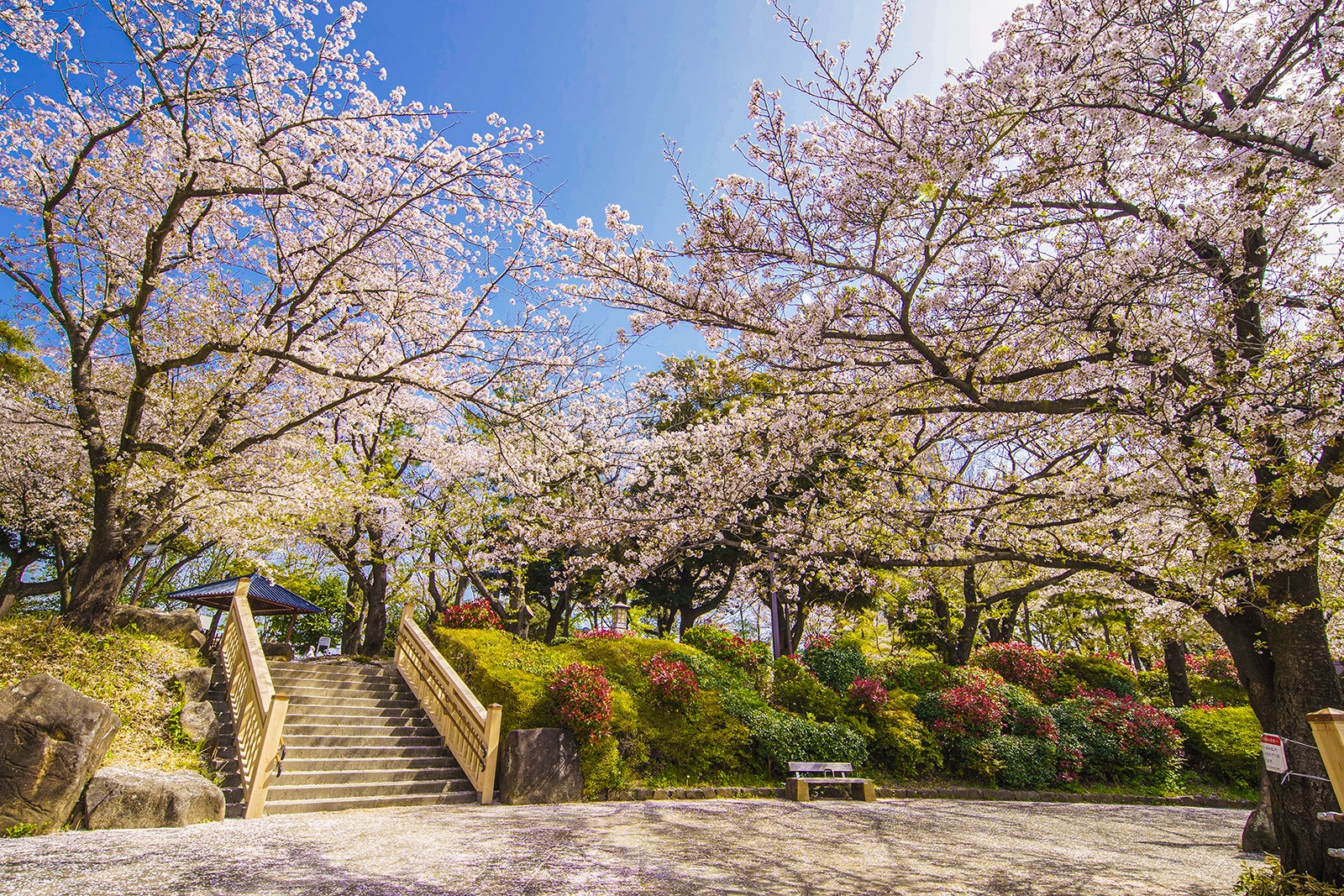 پارک آسوکایاما - Asukayama Park