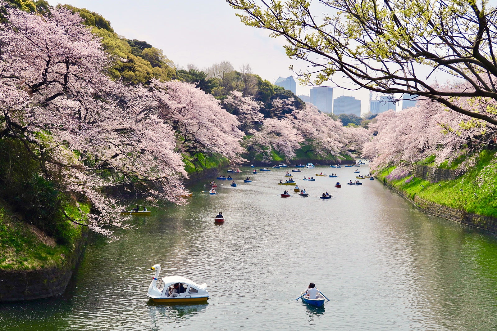 پارک چیدوریگا فوچی - Chidoriga-fuchi Park