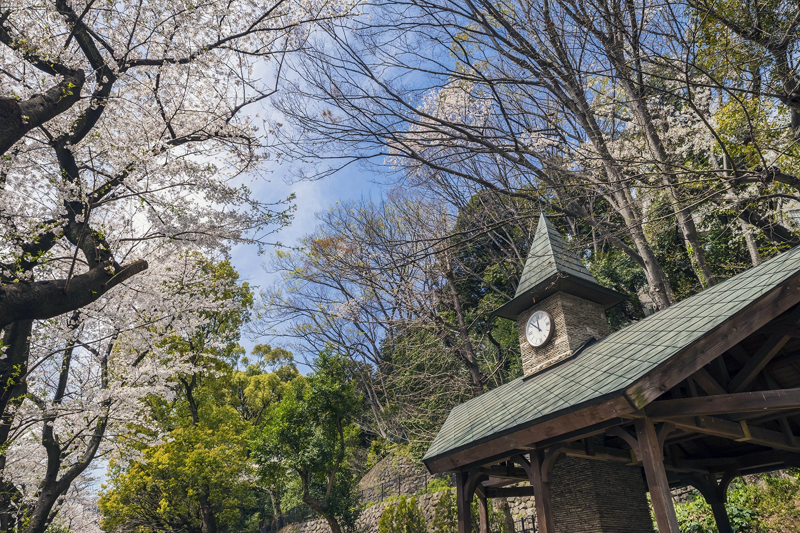 پارک ادوگاوا - Edogawa Park