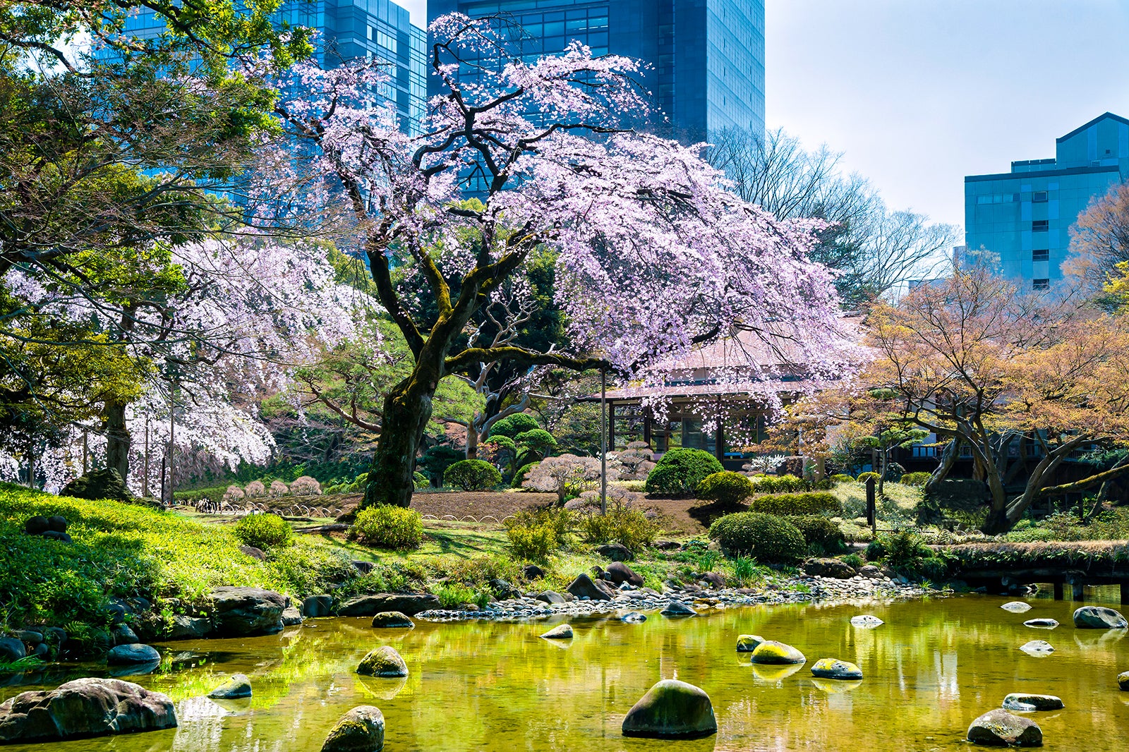 باغ Koishikawa Kōrakuen - Koishikawa Kōrakuen Garden