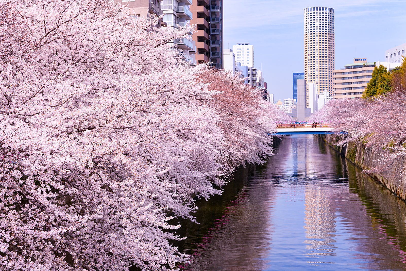 رودخانه مگورو - Meguro River