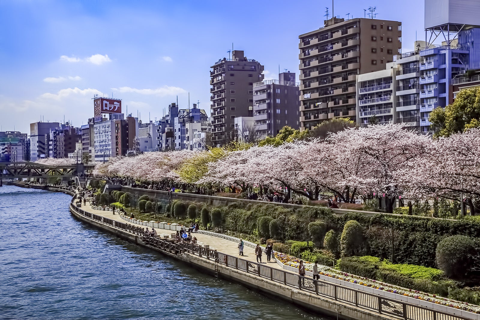 پارک سومیدا - Sumida Park