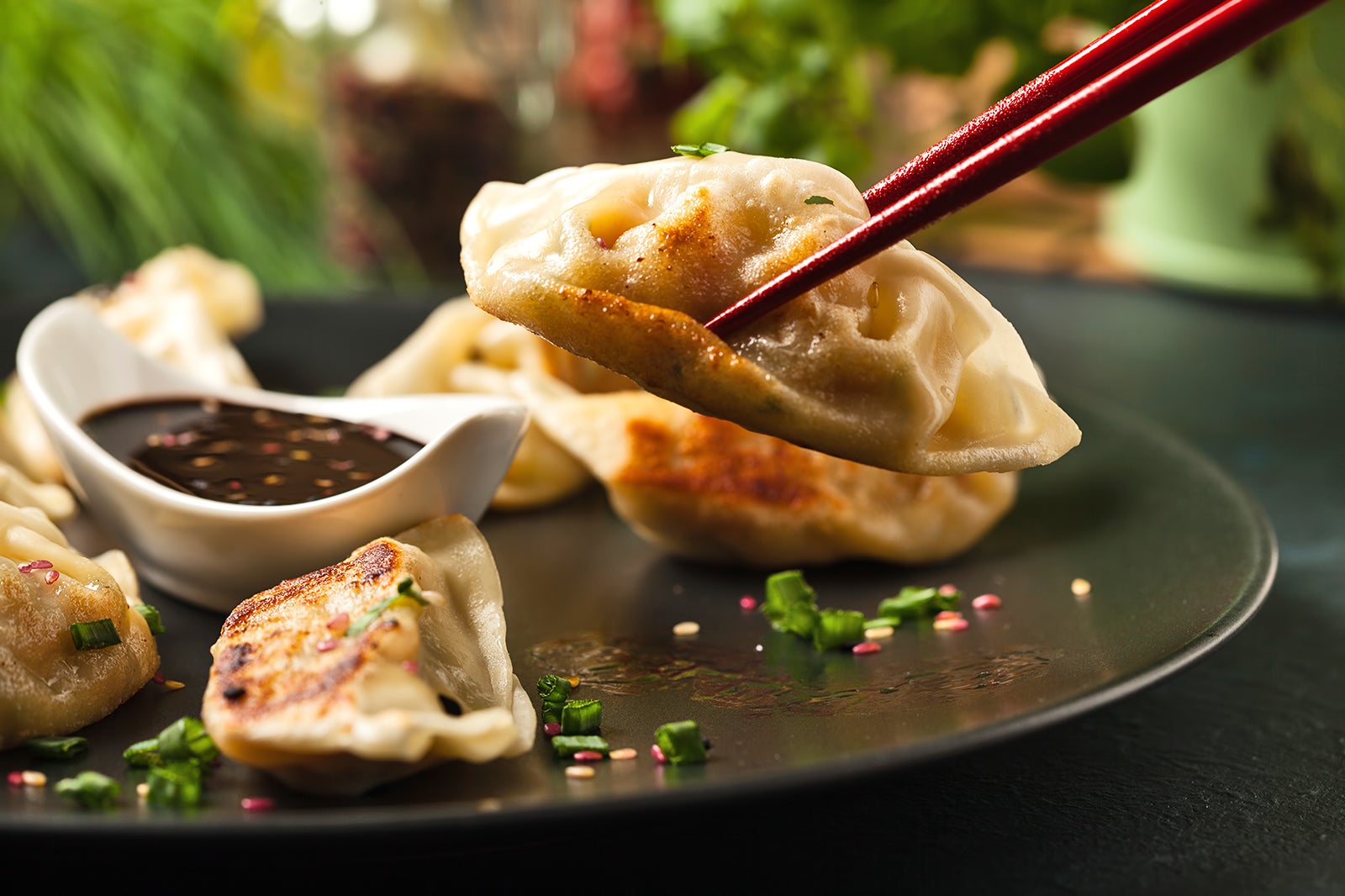 مرکز گیوزا - Gyoza Center