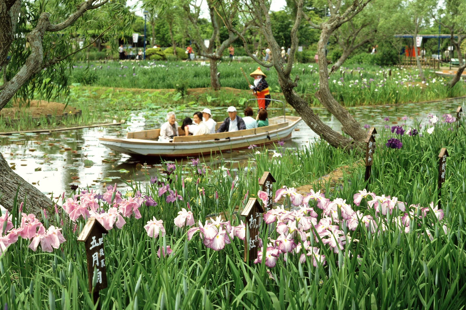 ساوارا (استان چیبا) - Sawara (Chiba Prefecture)