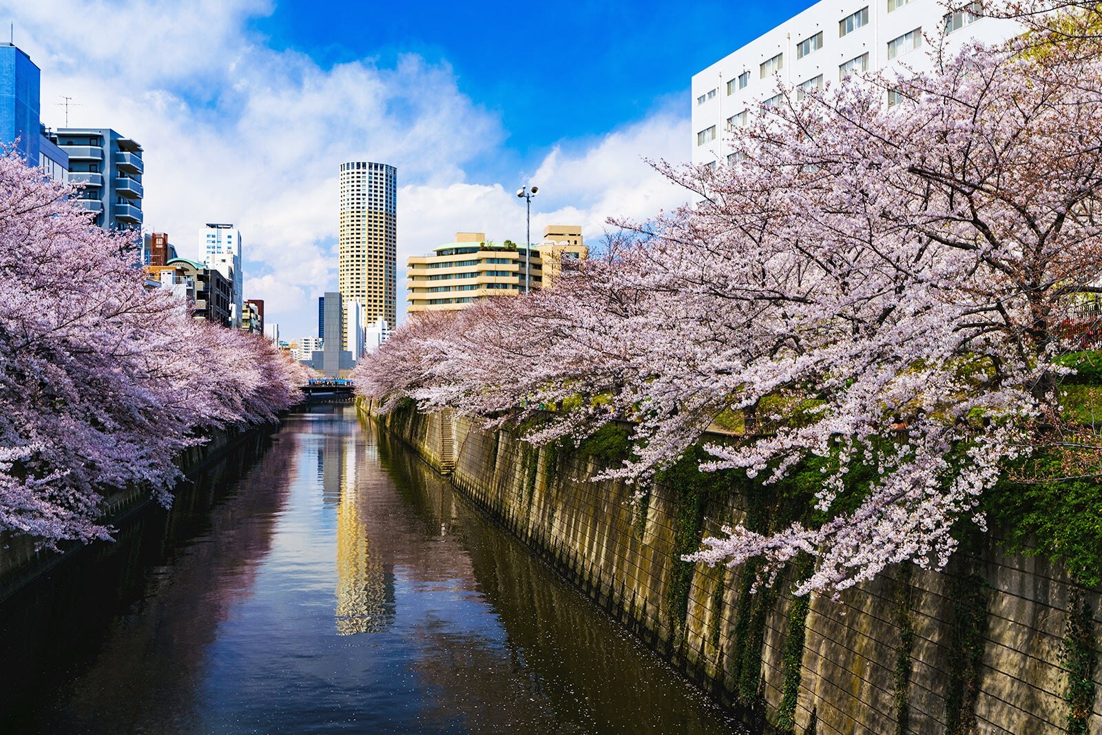 ناکامگورو - Nakameguro