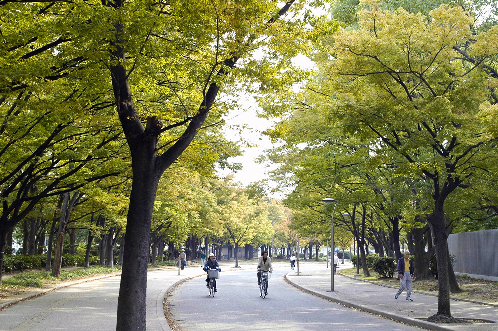 پارک ناگای - Nagai Park