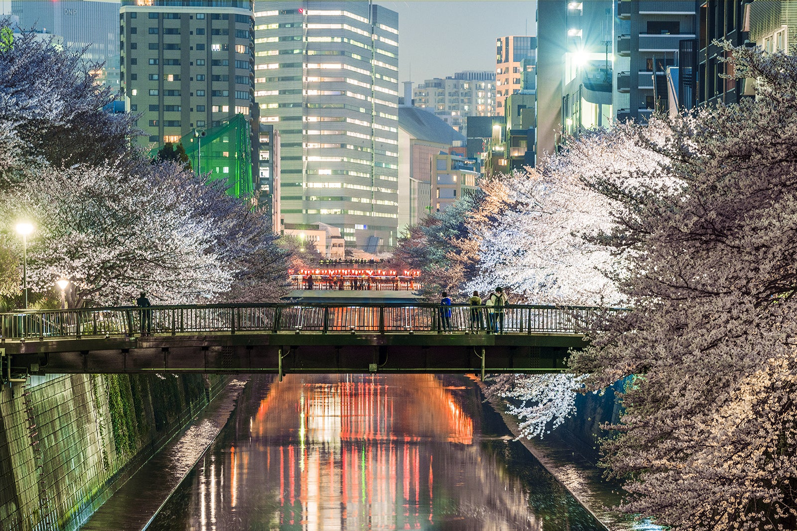 گردشگاه شکوفه های گیلاس رودخانه مگورو - Meguro River Cherry Blossoms Promenade