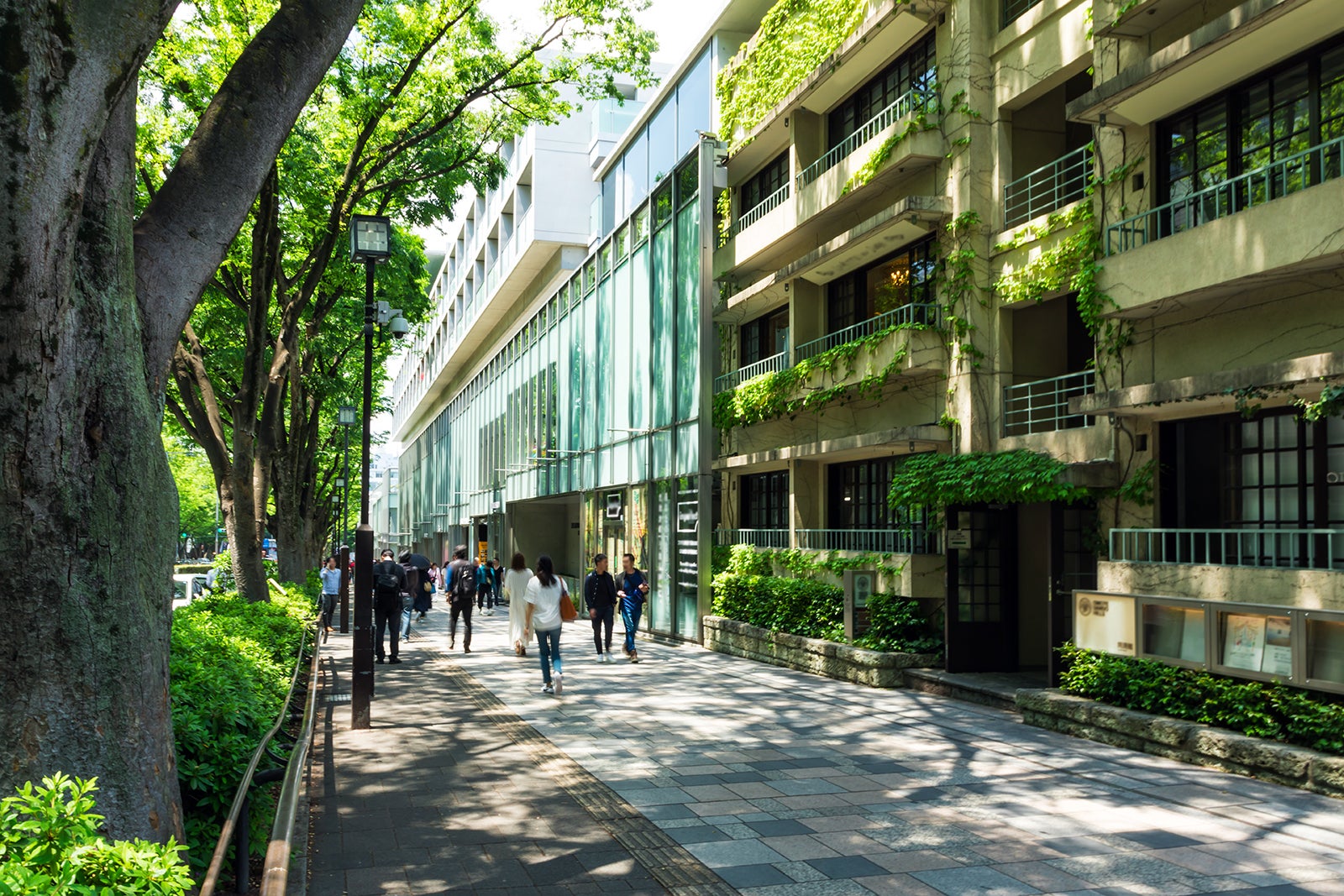 اوموتساندو - Omotesando