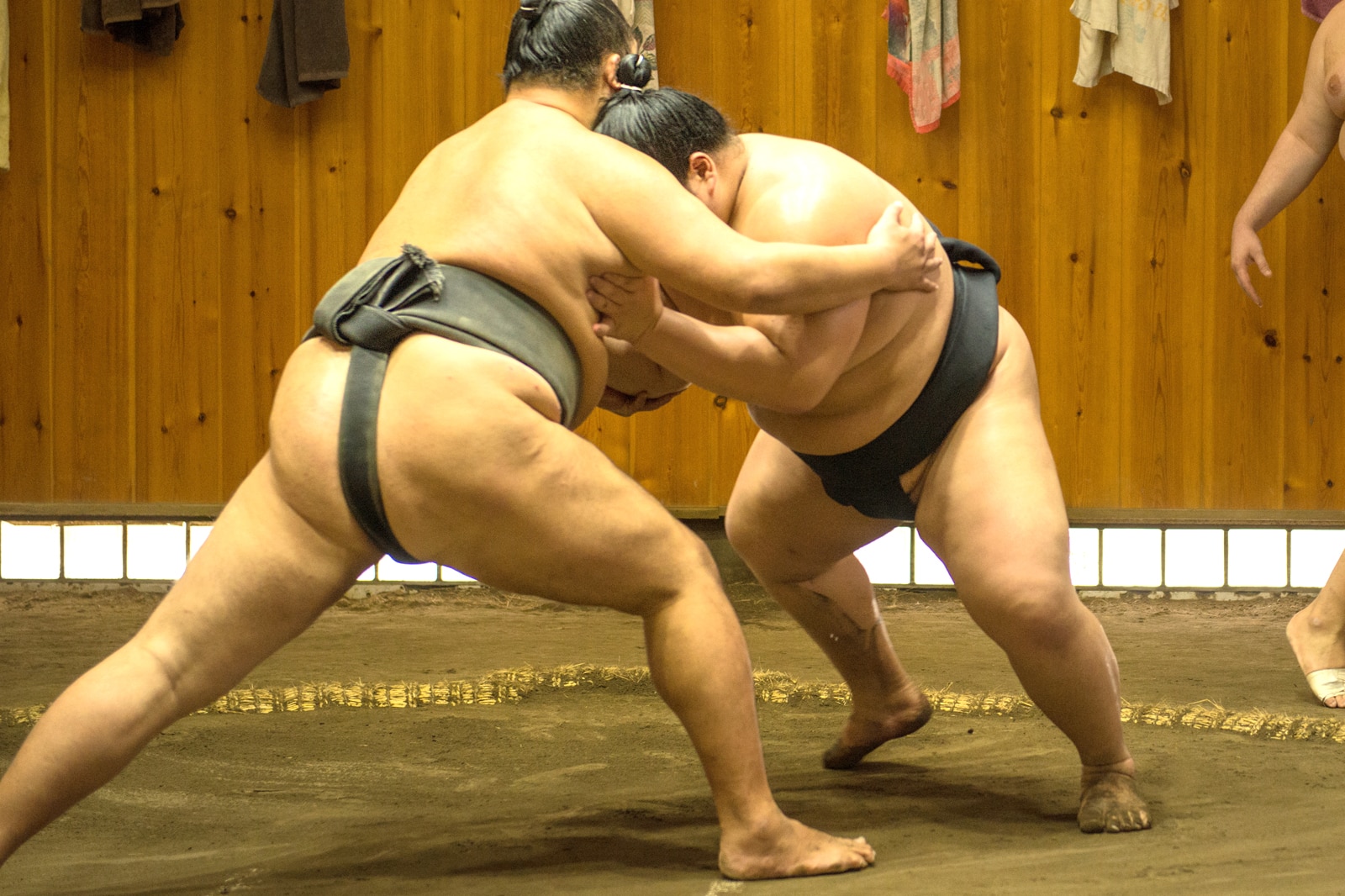 اکشن سومو در آراشیو بیا - Sumo action at Arashio-Beya