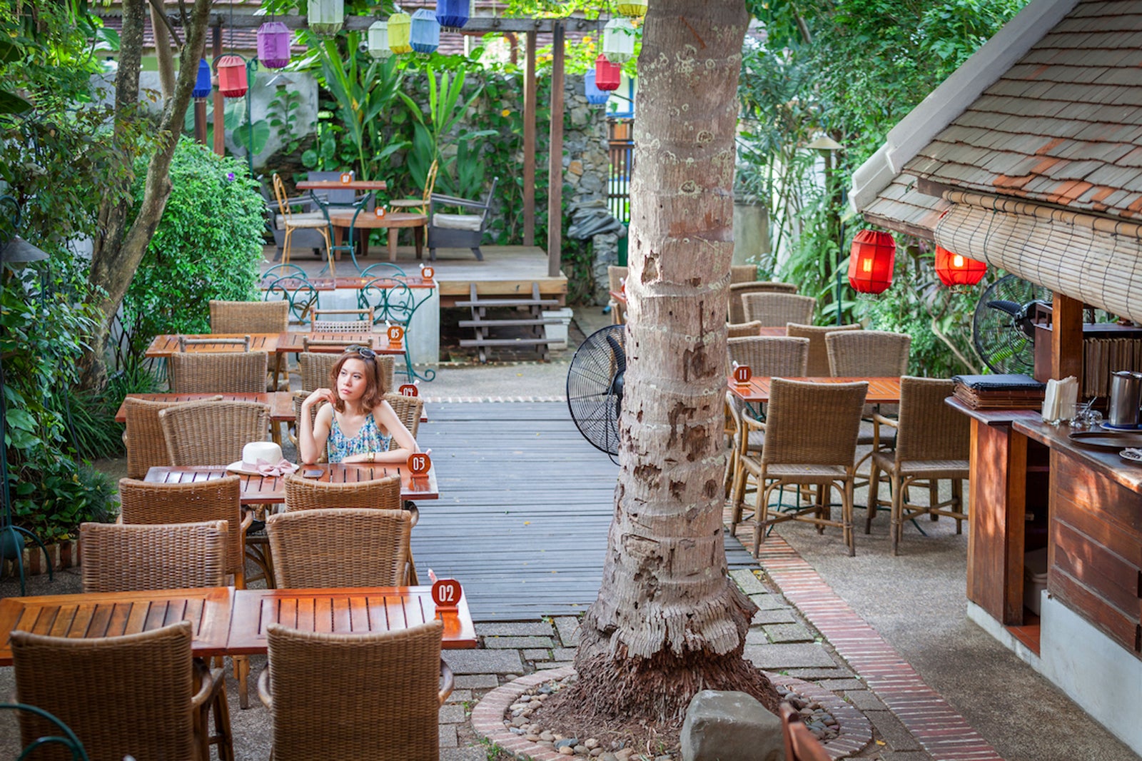 باغ نارگیل - Coconut Garden