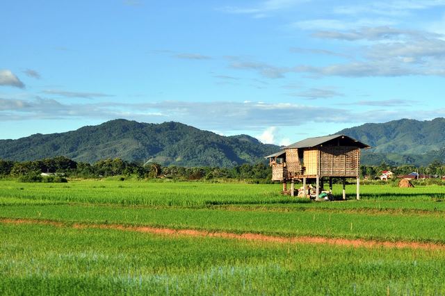 راهنمای کوتاه برای Luang Namtha