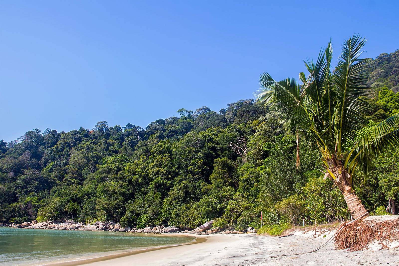 ساحل تلوک کامپی (ساحل تلوک کامپی) - Pantai Teluk Kampi (Teluk Kampi Beach)