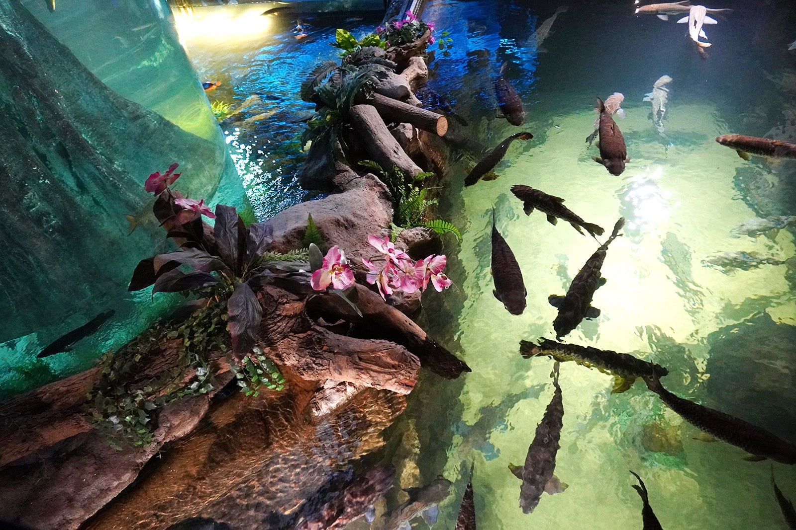 آکواریا KLCC - Aquaria KLCC